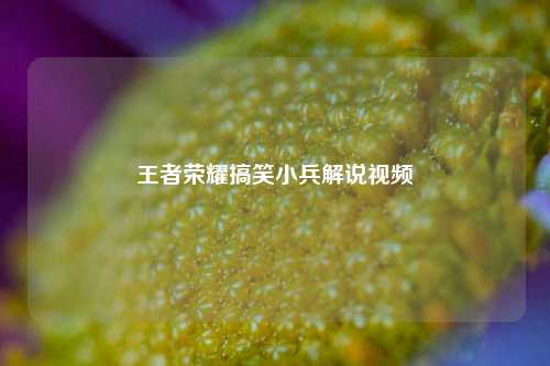 王者荣耀搞笑小兵解说视频