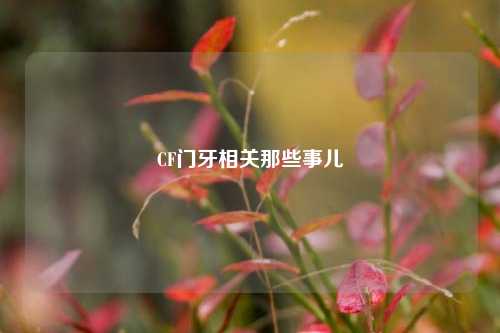 CF门牙相关那些事儿
