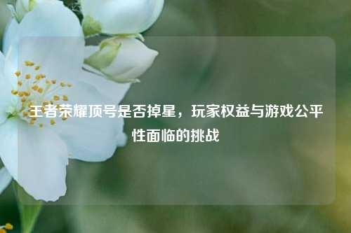 王者荣耀顶号是否掉星,玩家权益与游戏公平性面临的挑战
