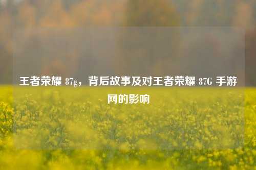 王者荣耀 87g,背后故事及对王者荣耀 87G 手游网的影响