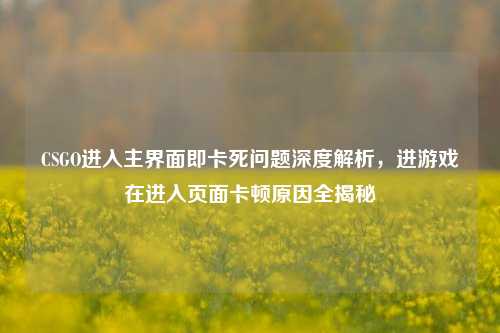 CSGO进入主界面即卡死问题深度解析,进游戏在进入页面卡顿原因全揭秘