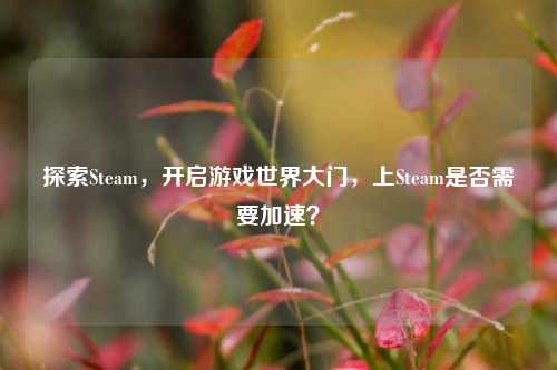 探索Steam,开启游戏世界大门,上Steam是否需要加速?