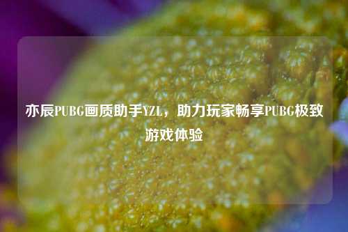 亦辰PUBG画质助手YZL,助力玩家畅享PUBG极致游戏体验