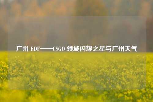 广州 EDF——CSGO 领域闪耀之星与广州天气