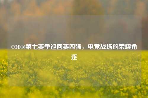 COD16第七赛季巡回赛四强,电竞战场的荣耀角逐