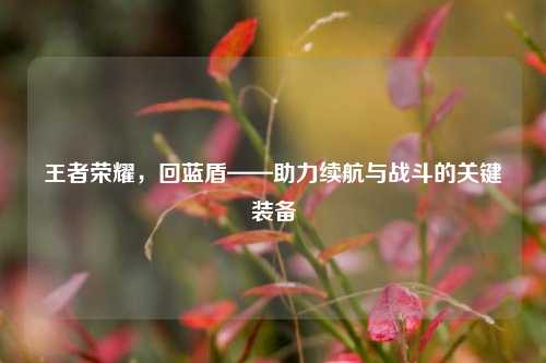 王者荣耀,回蓝盾——助力续航与战斗的关键装备