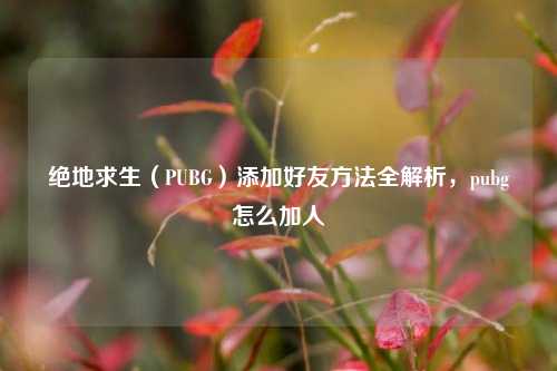 绝地求生(PUBG)添加好友 全解析,pubg怎么加人