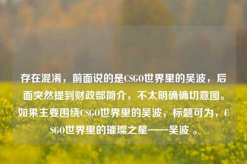 存在混淆,前面说的是CSGO世界里的吴波,后面突然提到财政部简介,不太明确确切意图。如果主要围绕CSGO世界里的吴波,标题可为,CSGO世界里的璀璨之星——吴波 。