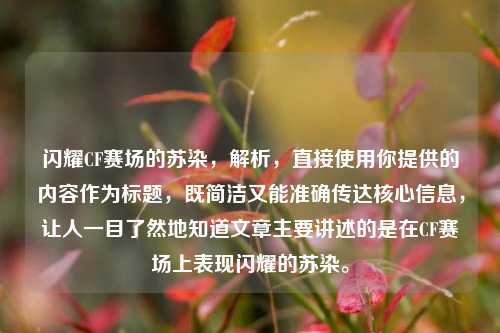 闪耀CF赛场的苏染,解析,直接使用你提供的内容作为标题,既简洁又能准确传达核心信息,让人一目了然地知道文章主要讲述的是在CF赛场上表现闪耀的苏染。