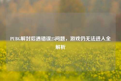 PUBG解封后遇错误25问题,游戏仍无法进入全解析
