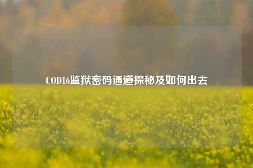COD16监狱密码通道探秘及如何出去