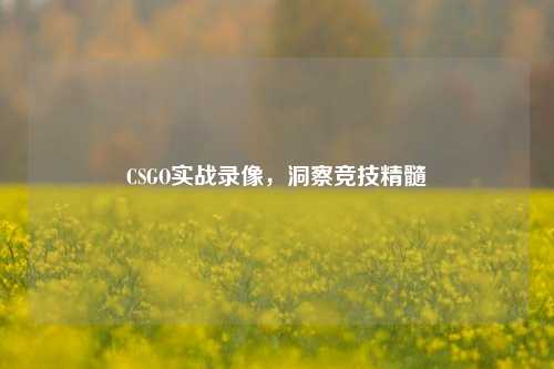 CSGO实战录像,洞察竞技精髓