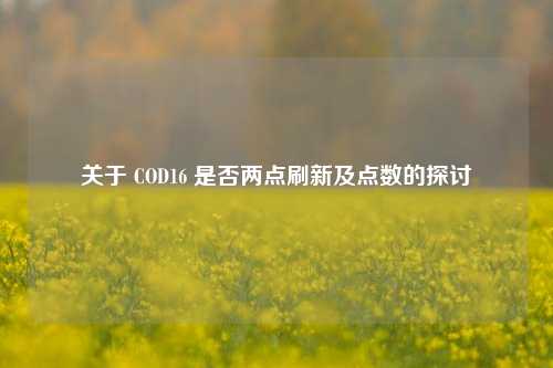 关于 COD16 是否两点刷新及点数的探讨