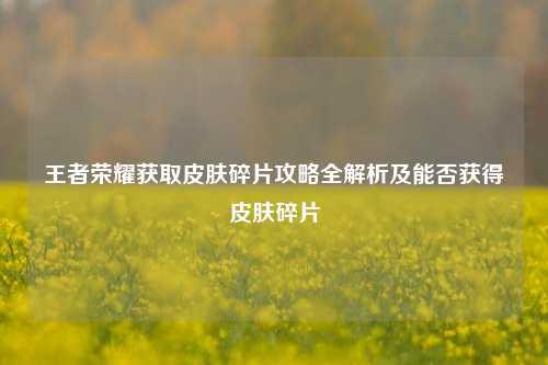 王者荣耀获取皮肤碎片攻略全解析及能否获得皮肤碎片