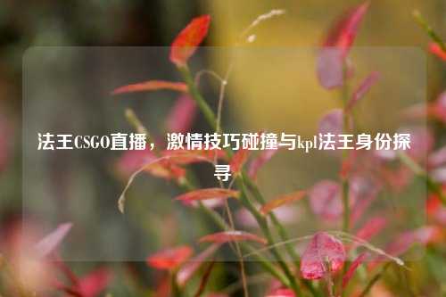 法王CSGO直播, 技巧碰撞与kpl法王身份探寻