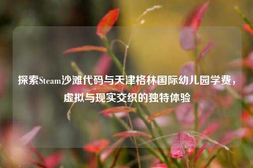 探索Steam沙滩代码与天津格林国际幼儿园学费,虚拟与现实交织的独特体验