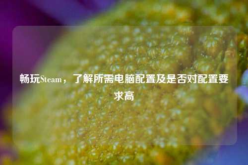畅玩Steam,了解所需电脑配置及是否对配置要求高