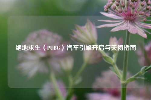 绝地求生(PUBG)汽车引擎开启与关闭指南