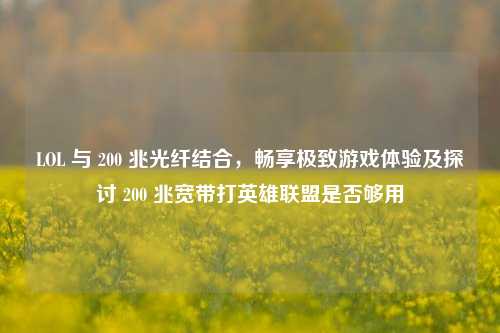 LOL 与 200 兆光纤结合,畅享极致游戏体验及探讨 200 兆宽带打英雄联盟是否够用