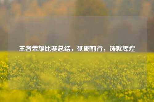 王者荣耀比赛总结,砥砺前行,铸就辉煌