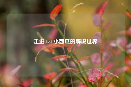 走进 Lol 小西瓜的解说世界
